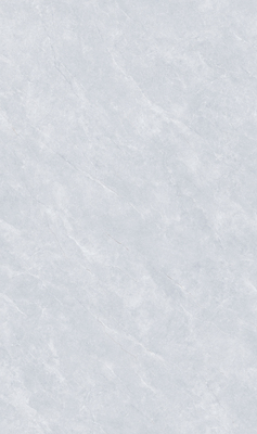 MG813605L 佛罗里达