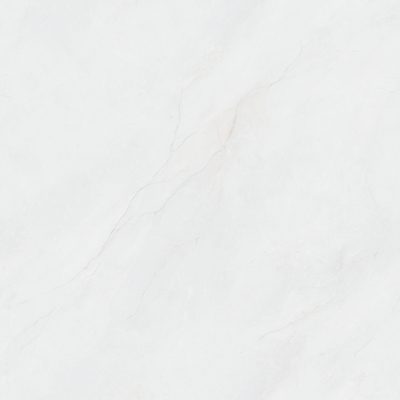 MG88606L 芙尼丝绸