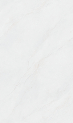 MG813606L 芙尼丝绸