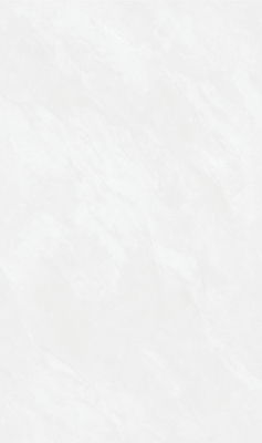 MG813607L 保罗卡迪